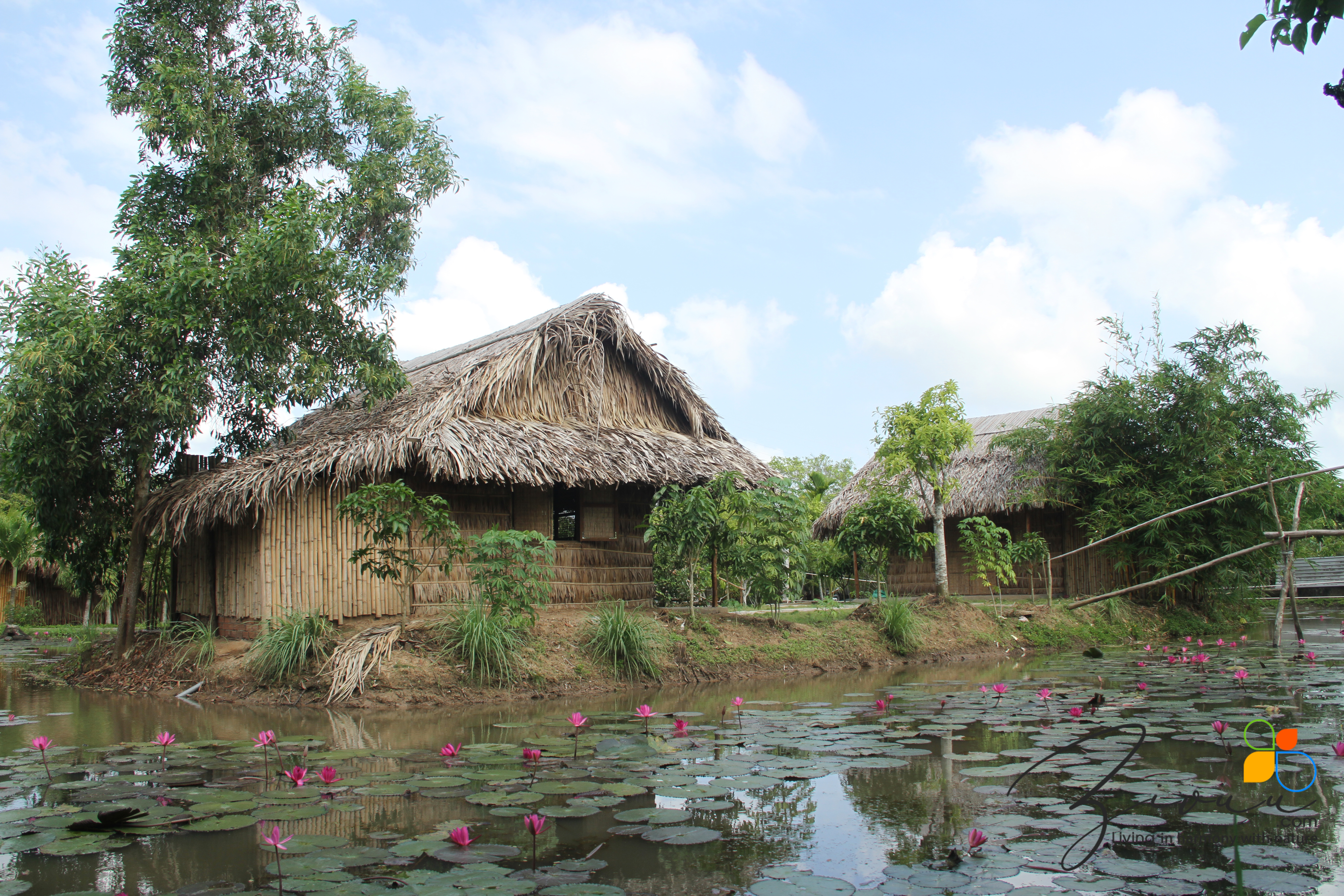 Zivuu Resort